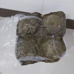 شور برگ مو وکیومی 1000گرمی