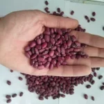 لوبیا قرمز بوجار شده درجه یک کیلویی