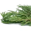 رزماری خشک شده( یک کیلویی)