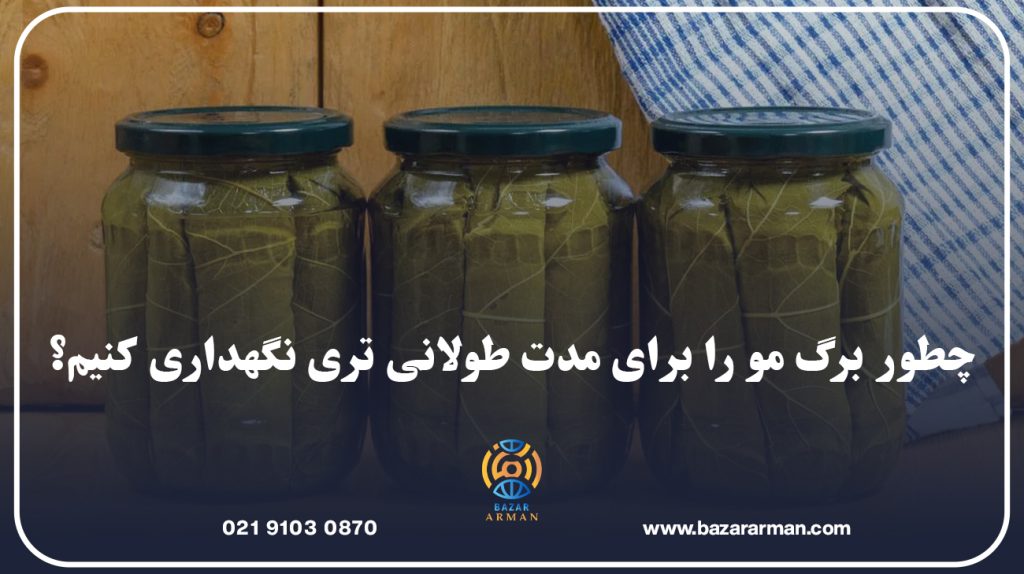 چطور برگ مو را برای مدت طولانی تری نگهداری کنیم؟