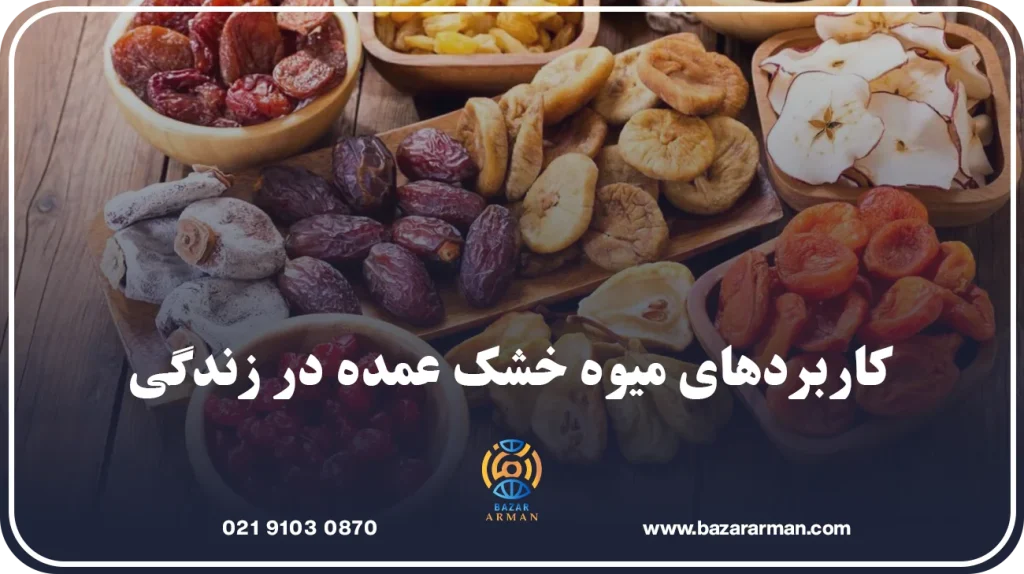 کاربردهای میوه خشک عمده در زندگی