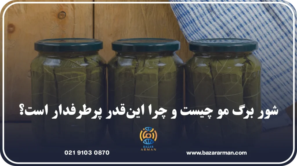 شور برگ مو چیست و چرا این‌قدر پرطرفدار است؟