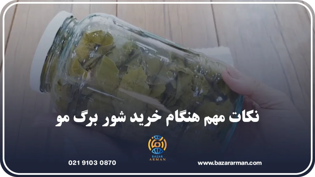 نکات مهم هنگام خرید شور برگ مو