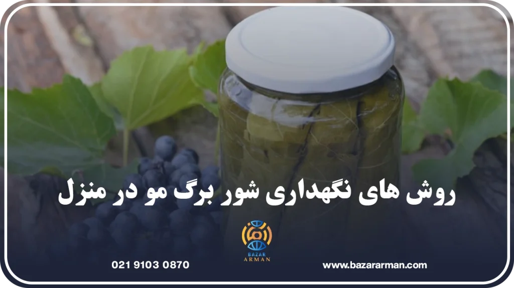 روش ‌های نگهداری شور برگ مو در منزل