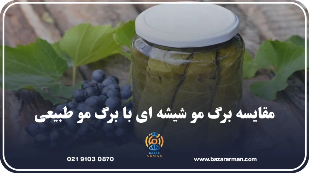 برگ مو شیشه ای چیست و چه کاربردهایی دارد؟