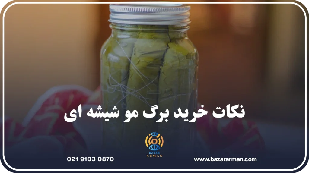 نکات خرید برگ مو شیشه ای