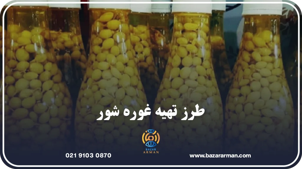 طرز تهیه غوره شور