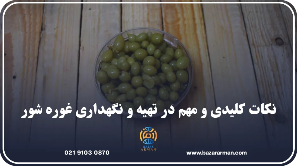 نکات کلیدی و مهم در تهیه و نگهداری غوره شور