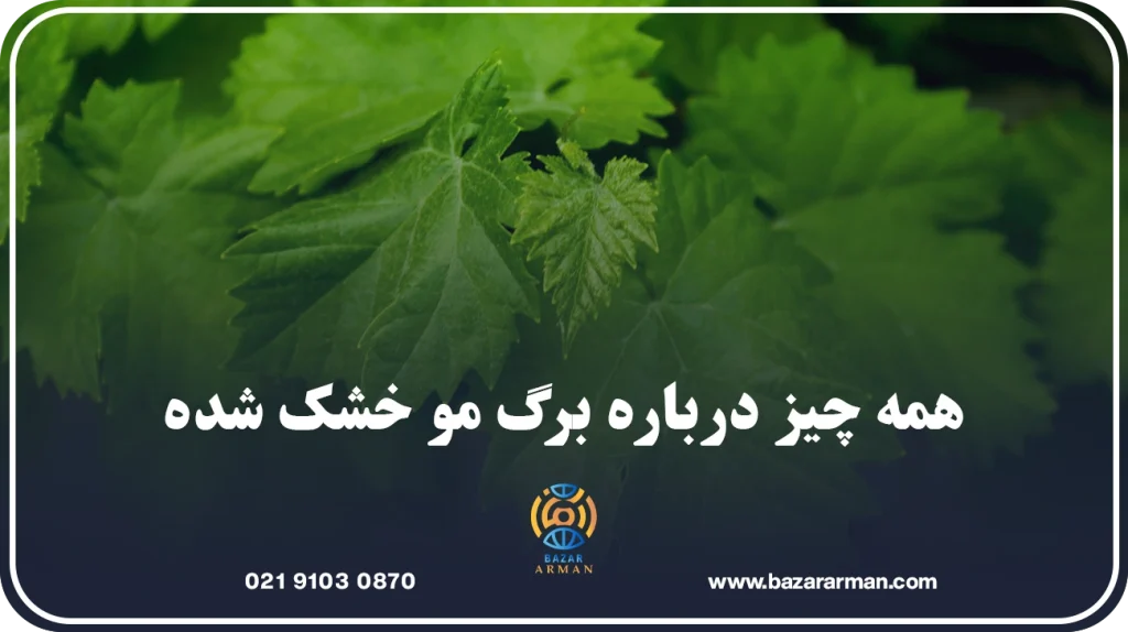 برگ مو خشک شده