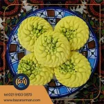 کلمپه پسته ای زعفرانی