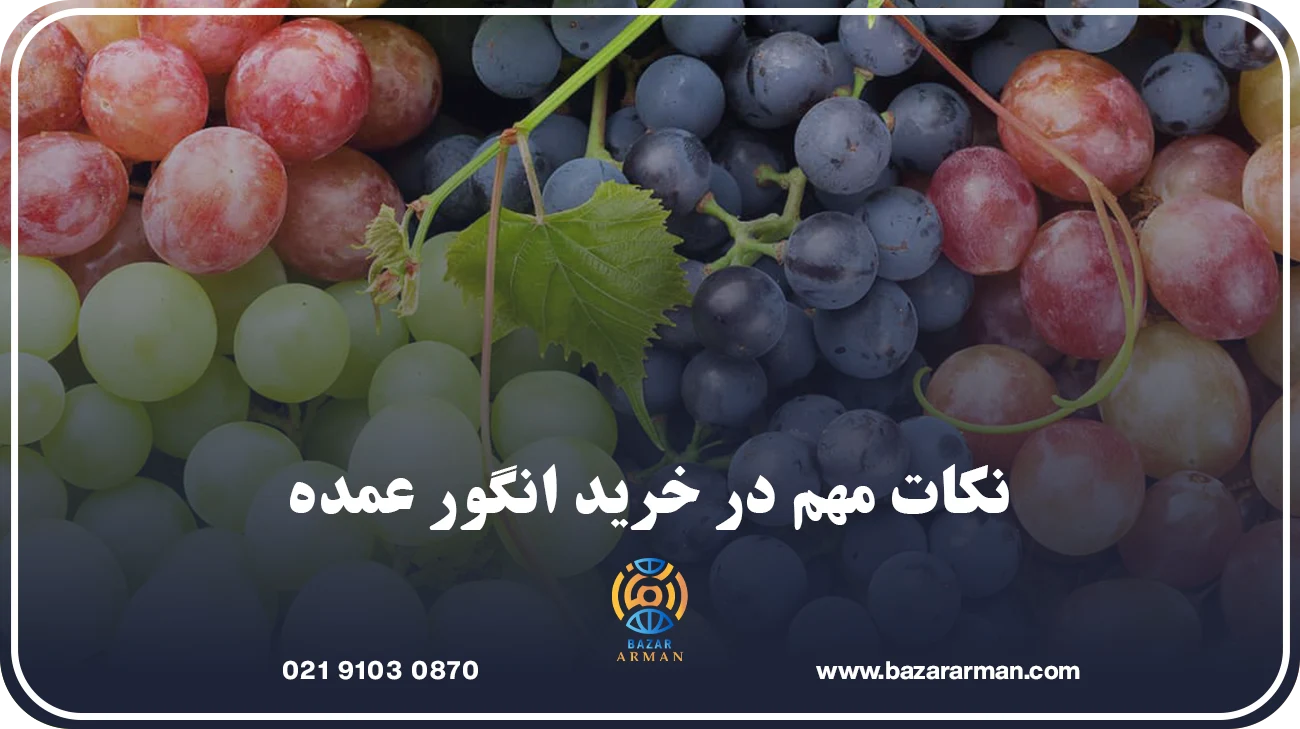 نکات مهم در خرید انگور عمده