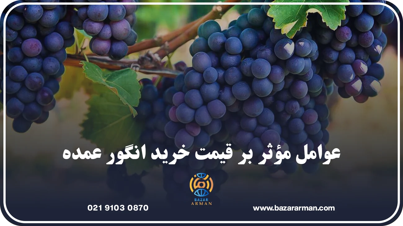 عوامل مؤثر بر قیمت خرید انگور عمده