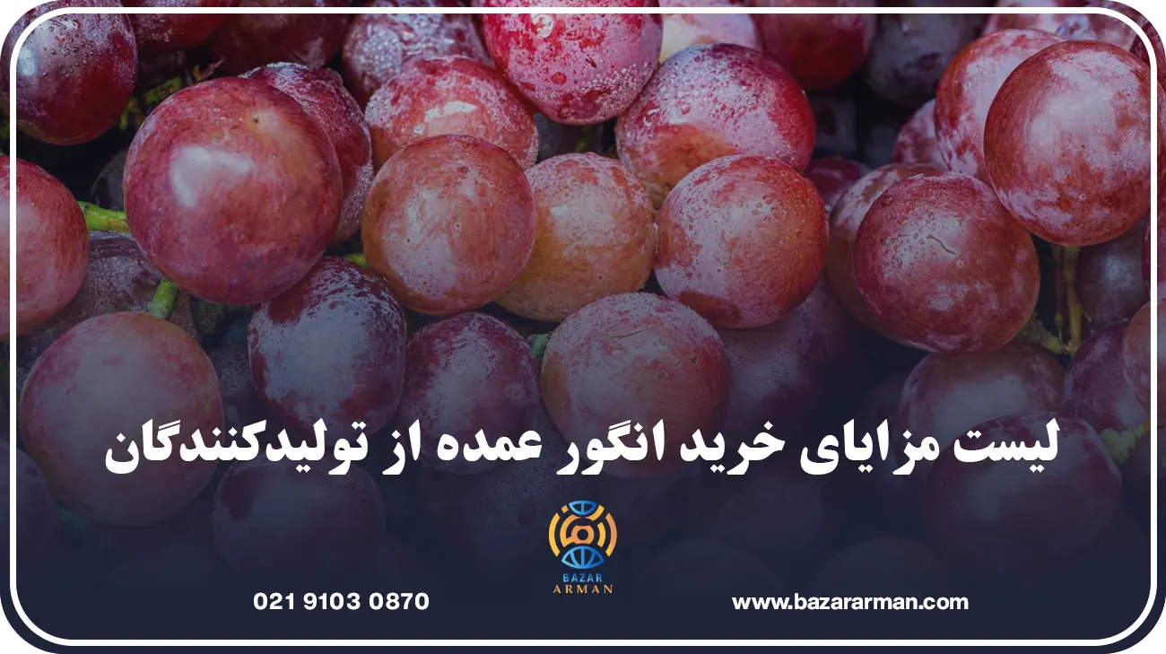 لیست مزایای خرید انگور عمده از تولیدکنندگان