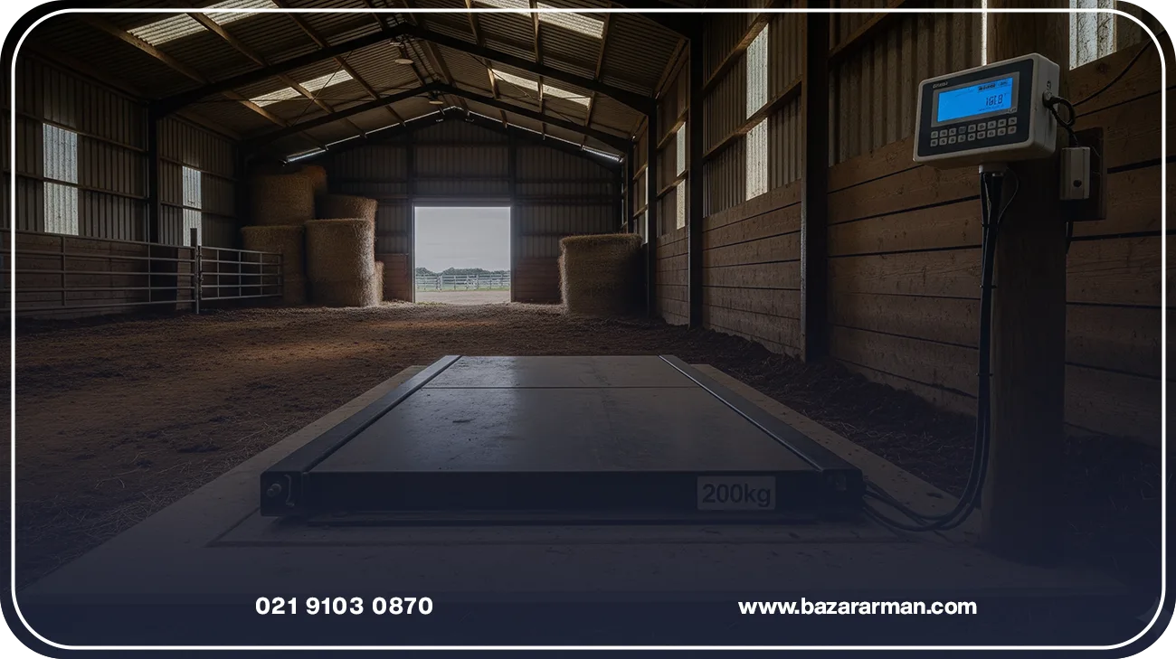 ویژگیهای فنی باسکول 200 کیلویی استیل