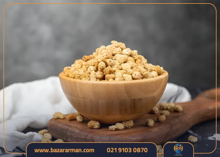 کاربردهای توت خشک