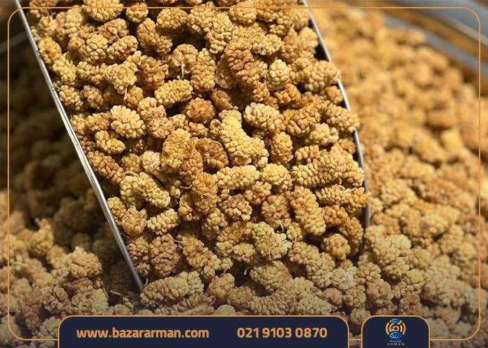 طرز تهیه توت خشک به روش صنعتی