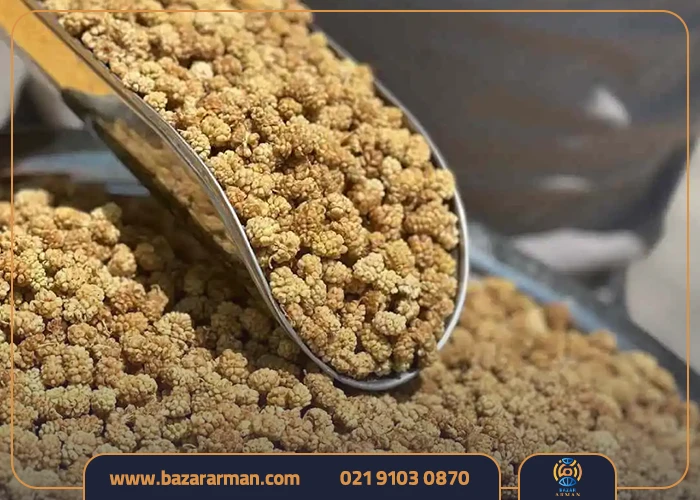 نکات نگهداری توت خشک